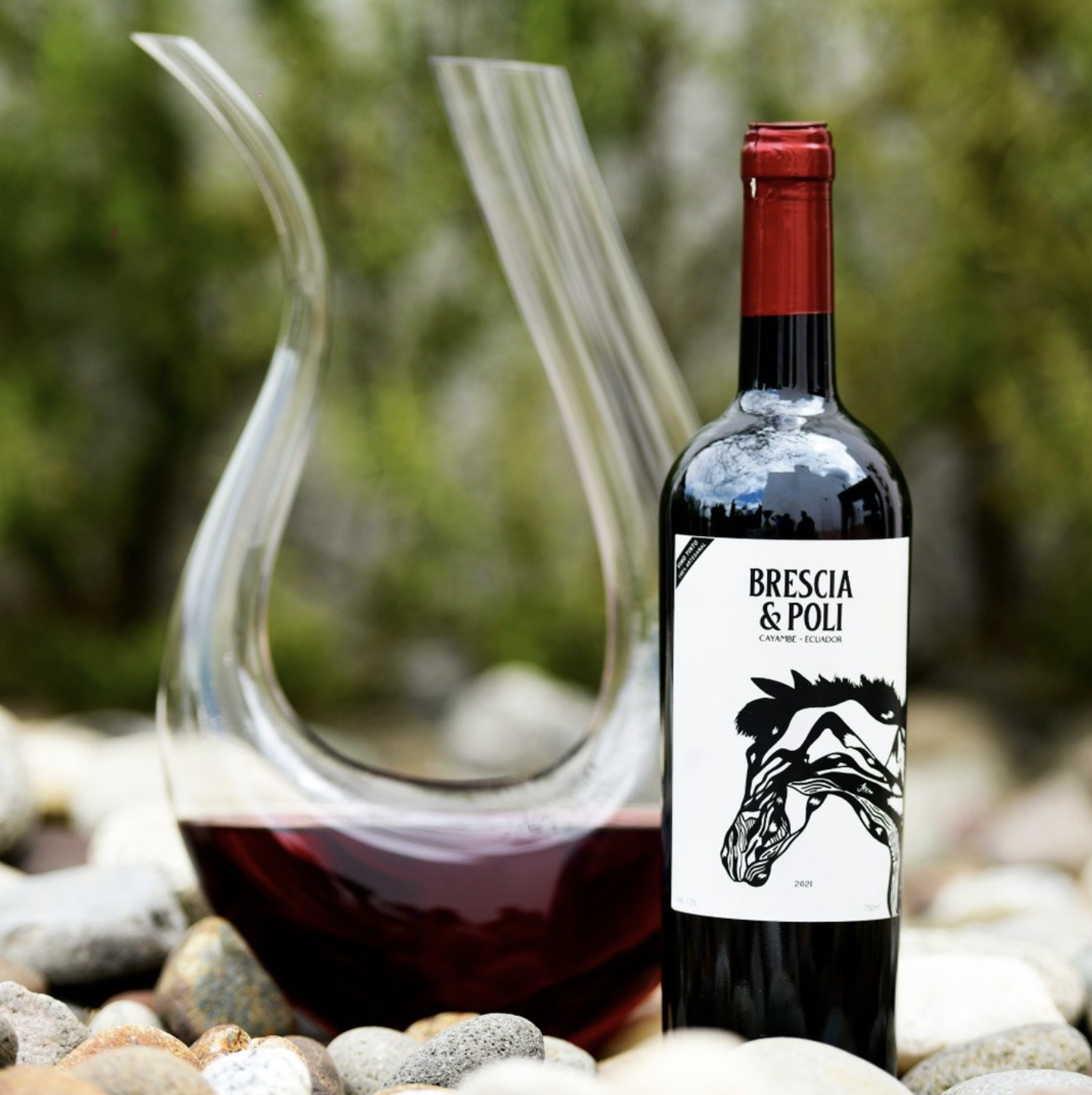 Red Blend Brescia & Poli