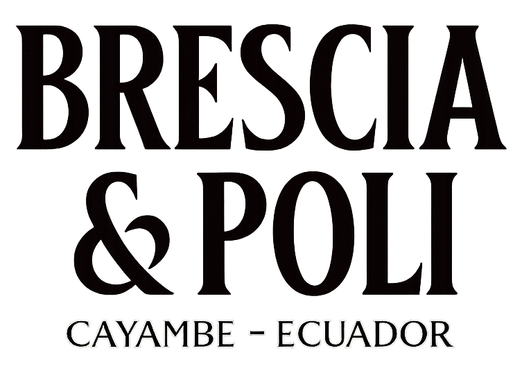 Brescia & Poli | Vino Ecuatoriano para Sangría y Clericot